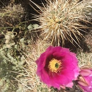 Meet your Posher, Christy